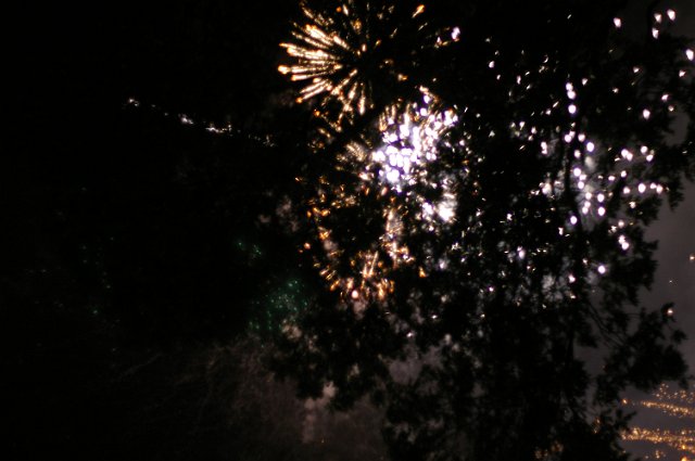 fireworks and trees abstract backdrop
