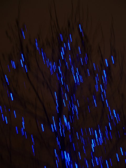 blue christmas lights on a tree