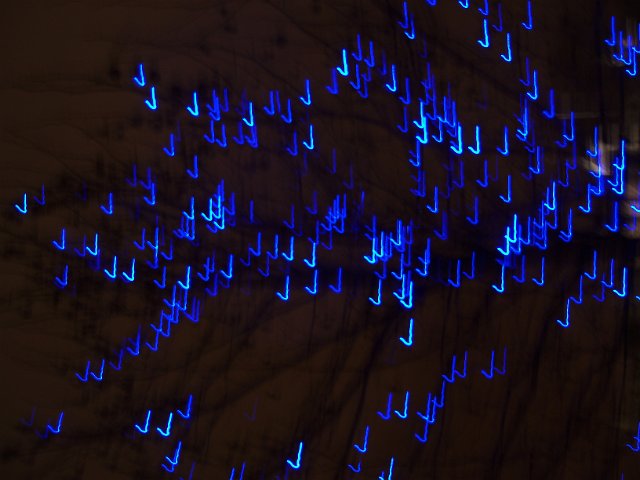 blue christmas lights on a tree