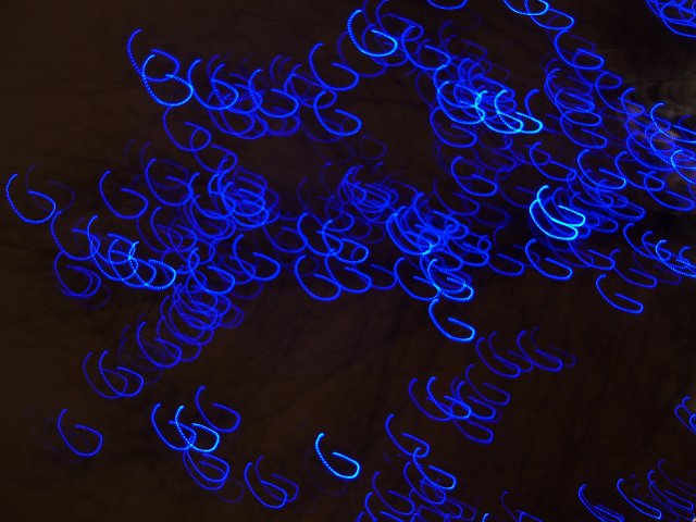 blue christmas lights on a tree