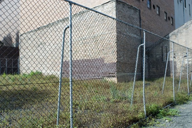 a vacant city plot overgrown with weeds