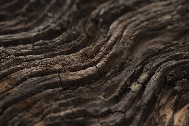 Background texture and pattern of old decaying wavy wood with ridges in a close up full frame view on the timber