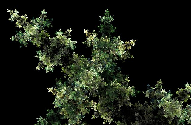 computer generated fern patterns