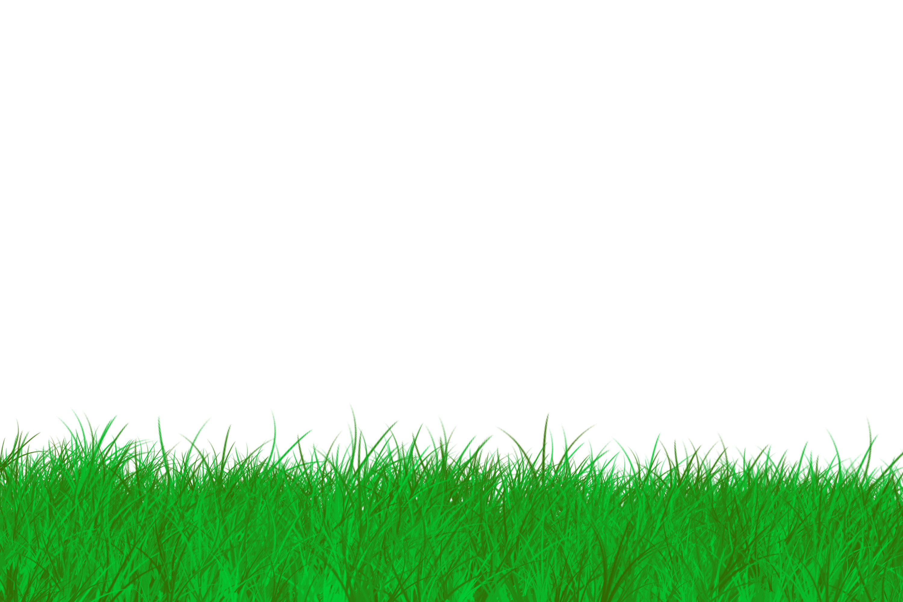 free clipart of green grass - photo #28