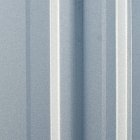 Previous image