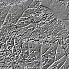 Next image