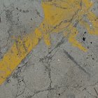 Previous image