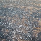 Previous image