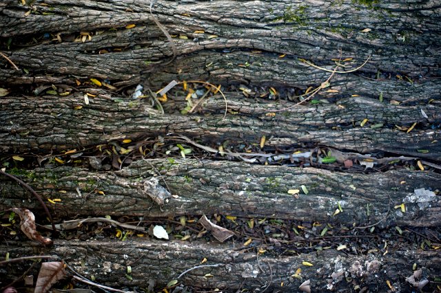 Closeup background texture of wood rot in damp wood showing the destruction of the natural structure