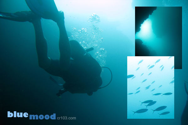 autumn colors design pack