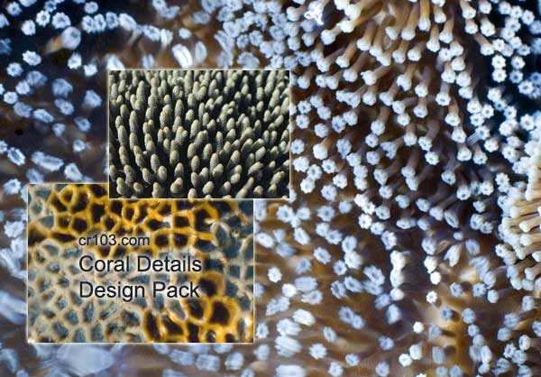 aquatic underwater design pack