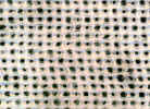 texture3.jpg (796296 bytes)