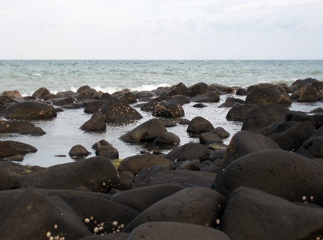 a stark looking rocky beachscape