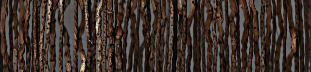 lines of parallel tea tree twigs