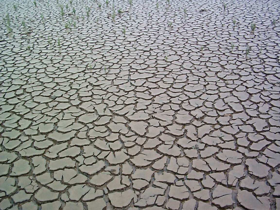 mud pattern | Free backgrounds and textures | Cr103.com