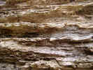 rottenwood3090.jpg (1406496 bytes)